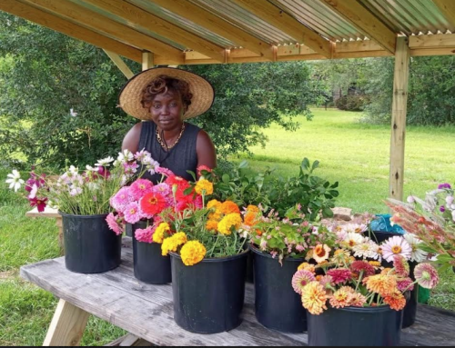 Refugees grow & sell seasonal flowers to support non-profit projects