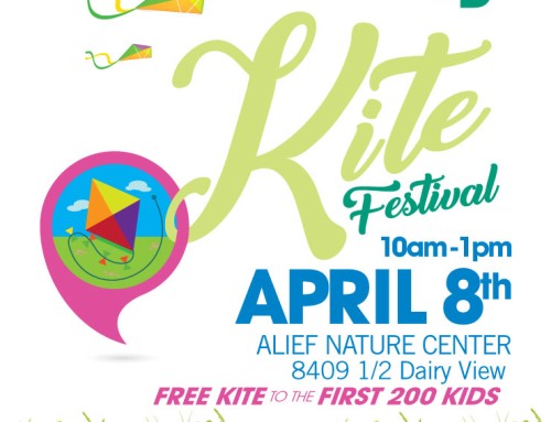 Kite Festival – Call for Vendors