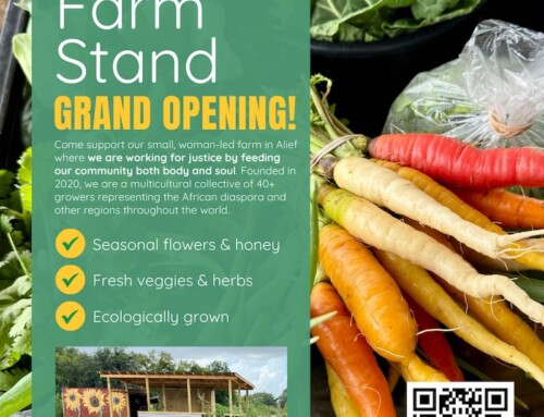 Farmstand Grand Opening, March 28